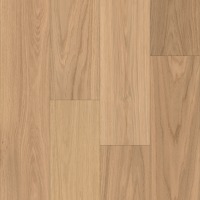WO702-F1683 - Sunlit Oak