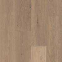 WO902-F1677 - Ibelin Oak