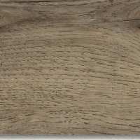 AD34648CLVT1P - Forest