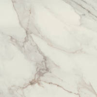 FM1024241PF - Diamond 24 x 24