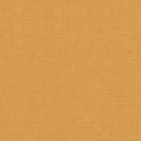 LF251224G30ML3M - Mustard Fabric