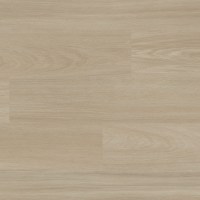 WP432 - Rhine Oak