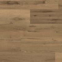 WP427 - Vermeer Oak