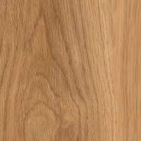 MCL108 - Oak Grove Acorn