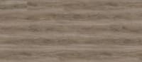REPO4003 - California Buckeye