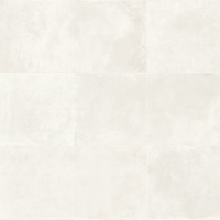 PF0124241PK - Ice 24 x 24