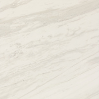 PT2024241PF - Timeless White 24 x 24 Matte
