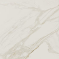 PT2112121LF - Brilliant White 12 x 12 Polished