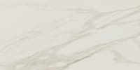 PT211224A1LF - Brilliant White 12 x 24 Polished