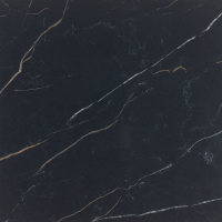 PT2424241PF - Infinite Black 24 x 24 Matte