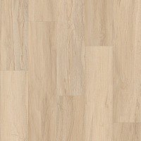 02084_0736V - Spalted Maple