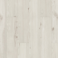 01040-2019V - Jackson Pine
