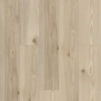 02049-3038V - Savona
