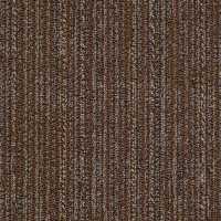 54458_58600 - Clove