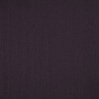 54462_62990 - Eggplant