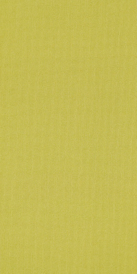 54786_62284 - Limelight