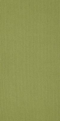 54786_62325 - Brite Green