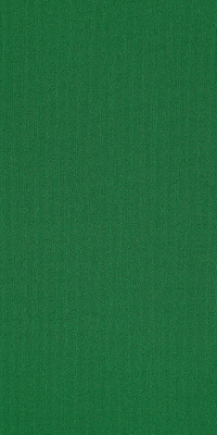 54786_62375 - Dark Green