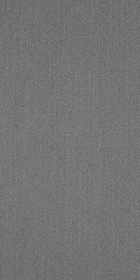 54786_62557 - Dolphin