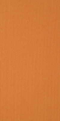 54786_62675 - Orange