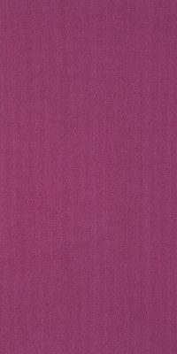 54786_62890 - Calypso