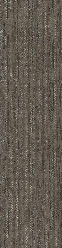 54833_33501 - Pietersite
