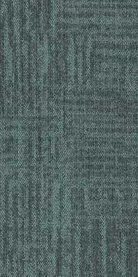 54843_00400 - Swanky