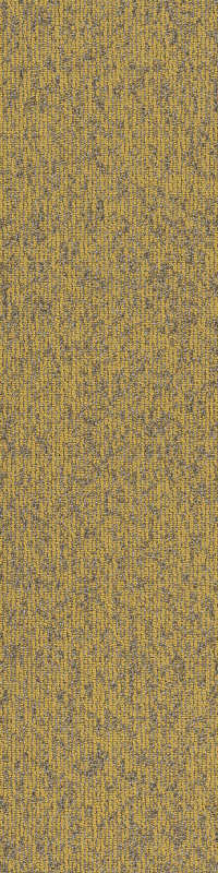 54847_00220 - Monadnock