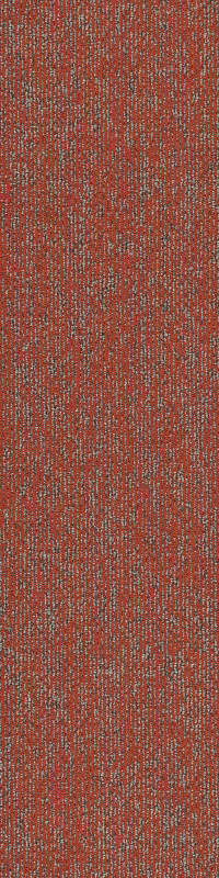 54847_00816 - Miombo