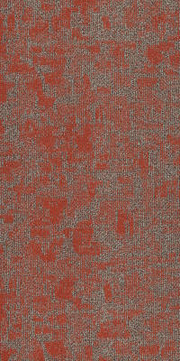 54848_00816 - Miombo