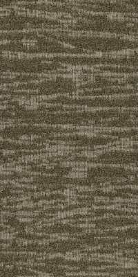 54849_00710 - Salt Flat