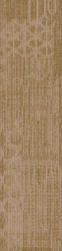 54875_00200 - Cadence