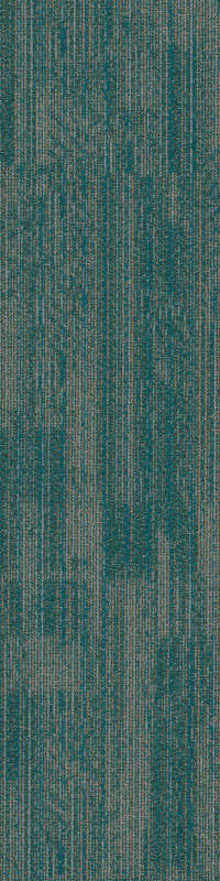 54876_00305 - Tempo