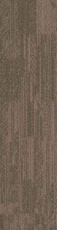 54876_00501 - Diapason