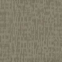 54881_81100 - Brilliant
