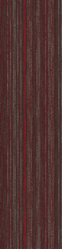 54902_00800 - Quixotic