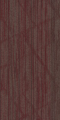 54903_00800 - Quixotic