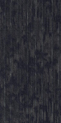 54993_93400 - Zealous