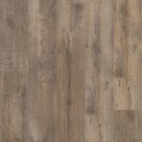 VV012-00756 - Nares Oak