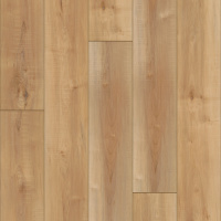 VV012-00760 - Manila Oak