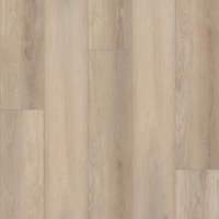 VV012-00771 - Aurora Oak