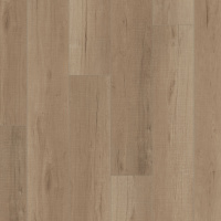VV012-05033 - Jerome Oak