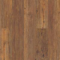 VV023-00501 - Carolina Pine