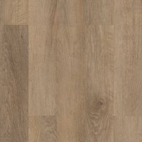 VV023-00513 - Brockport Oak
