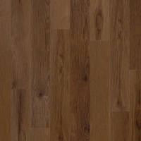 VV023-02044 - Rogers Hickory