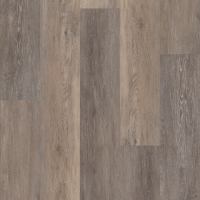 VV024-00707 - Blackstone Oak