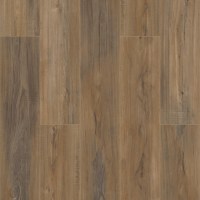 VV492-02001 - Edinburgh Oak