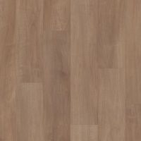 VV820-07023 - Tawny Beech