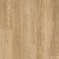 VV845-05045 - Hemphill Oak
