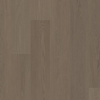 VV880-03032 - Meditative Oak